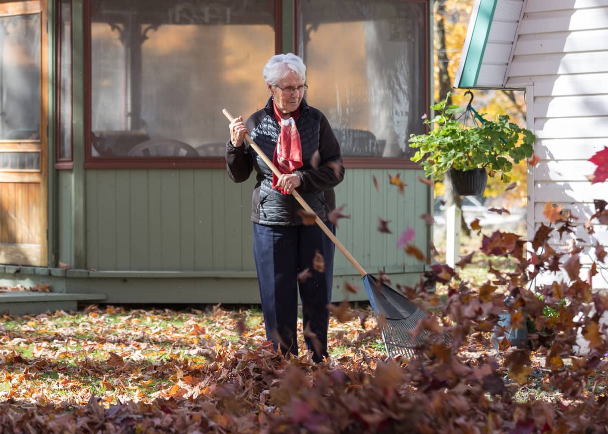 Leaf Removal Clean Up in Woodland Park